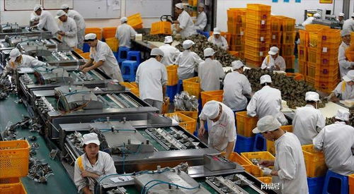 大學(xué)生暑期流水線(xiàn) 月入五六千，只為賺出一臺(tái)iPad